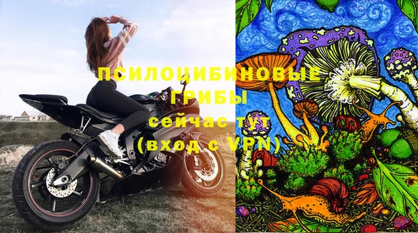 МДПВ Снежногорск