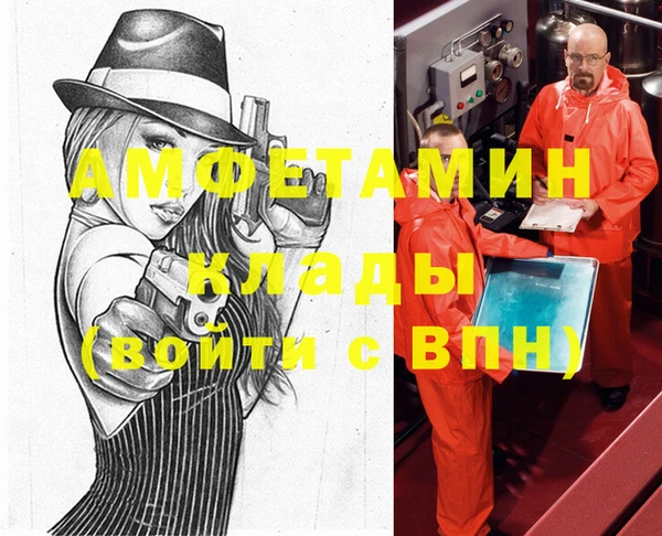МДПВ Снежногорск