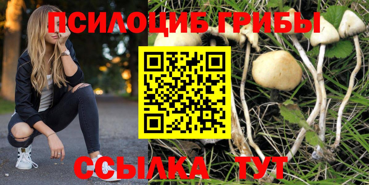 Верхний Уфалей  Псилоцибиновые грибы Psilocybine cubensis  Вход с VPN 