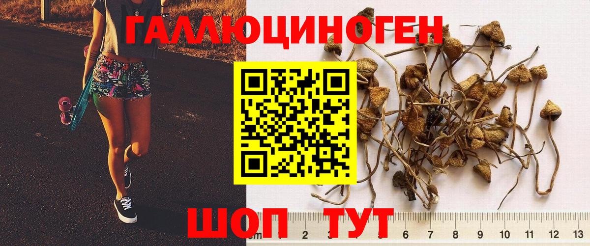 Галлюциногенные грибы мицелий Верхний Уфалей